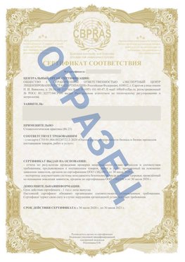 Образец Сертификат СТО 01.064.00220722.2-2020 Железногорск Сертификат СТО 01.064.00220722.2-2020 